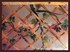 Picture of gallery-01