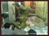 Picture of gallery-01