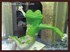 Picture of gallery-01