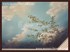 Picture of gallery-01