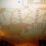 Picture for category MAP