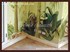 Picture of gallery-01
