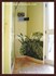 Picture of gallery-01
