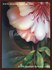 Picture of gallery-02