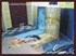 Picture of gallery-02