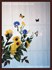 Picture of gallery-01