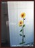 Picture of gallery-01