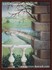 Picture of gallery-06